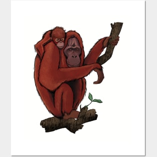 Orangutan Posters and Art